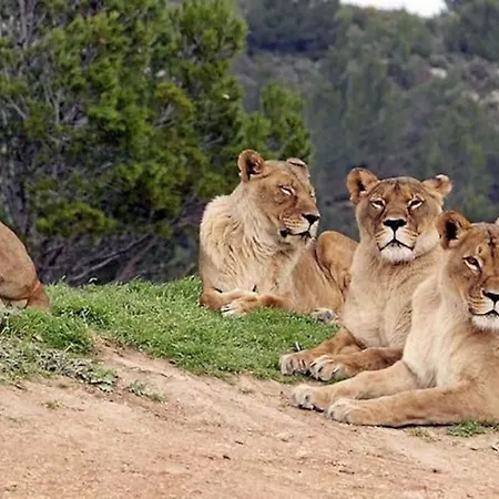 Grands Buffets - Halles - Centre דירה